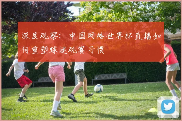 深度观察：中国网络世界杯直播如何重塑球迷观赛习惯